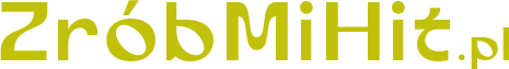 ZróbMiHit Logo